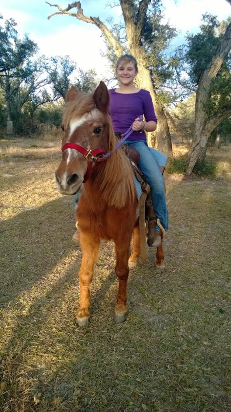 Our Rescue Horse Honey! We miss you!!!